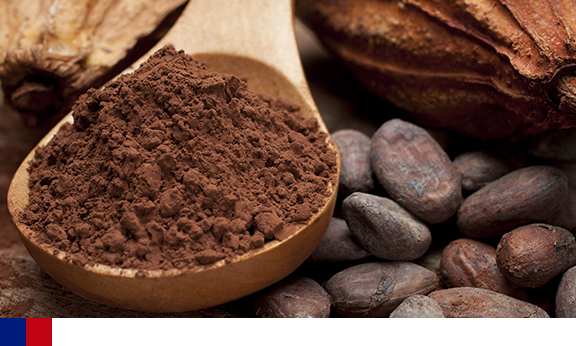 Cacau pode ajudar a tratar o diabetes, mostra estudo americano